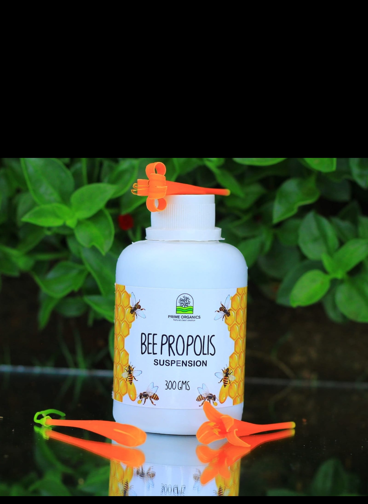 Bee Propolis