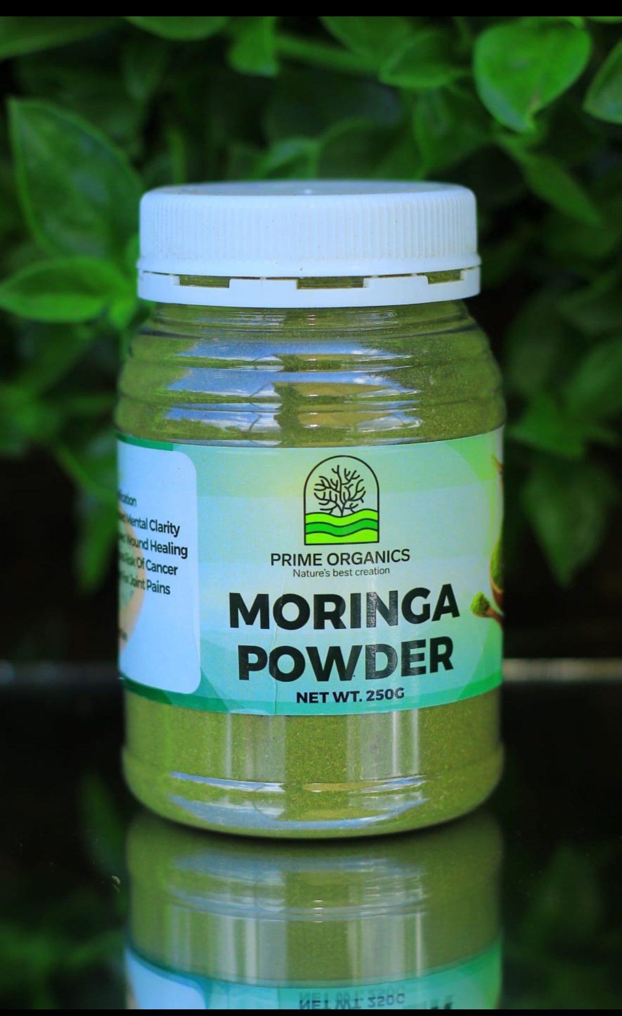 Moringa Powder